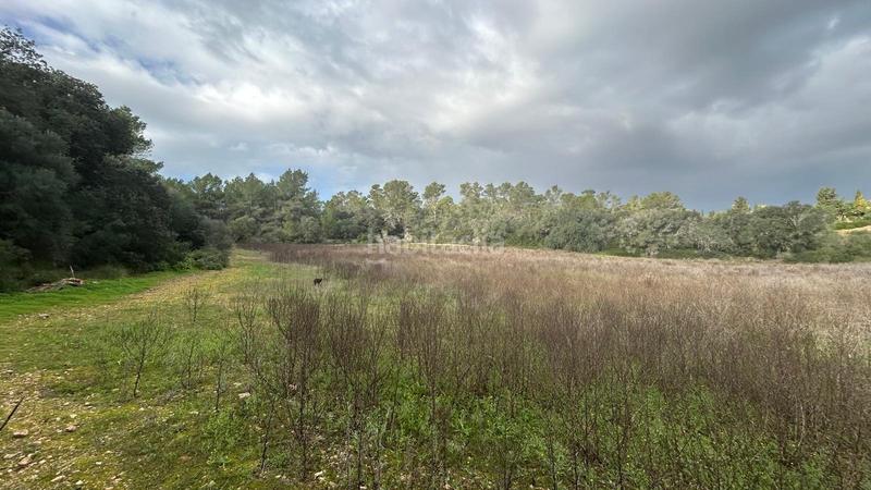 Foto 0d923550-7c43-4408-adfb-89cfa4dde07f. Casale in Porreres