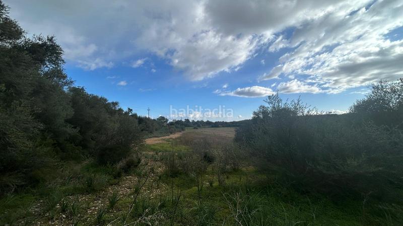 Foto 6c34c174-0f70-4509-a364-e2eddb035c19. Casale in Porreres