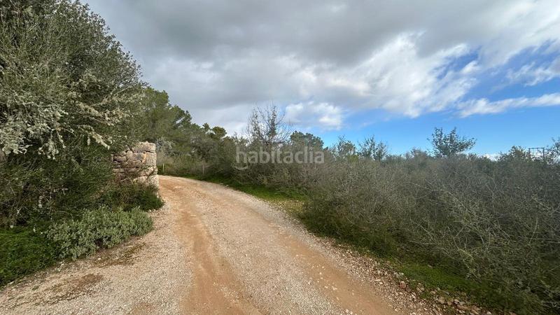 Foto 6f36988e-8a89-408d-b235-f4c3678894ce. Casale in Porreres