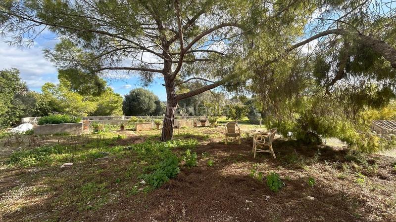 Foto 7e83ac10-5b66-43cc-b574-035698f3508b. Casale in Porreres