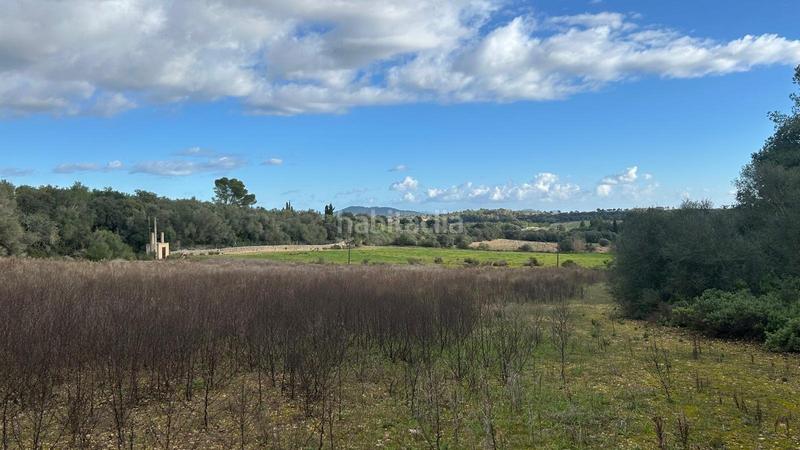 Foto 81618fa5-d096-4da3-976b-1aa6ff0e0f68. Casale in Porreres