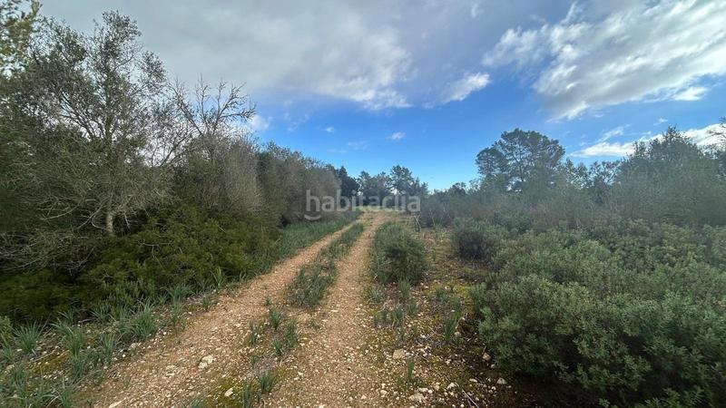 Foto 99934952-5069-4634-ae9f-e0e8380cb1e8. Casale in Porreres