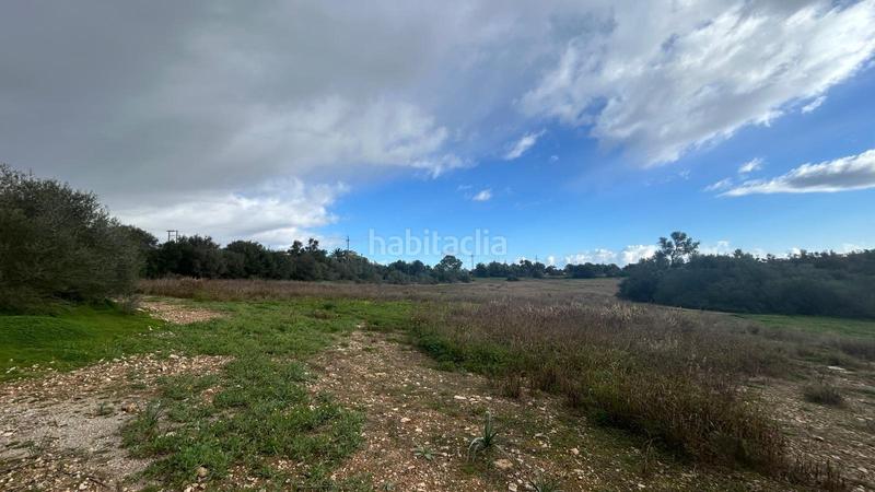 Foto f8690570-1f04-4412-b9f4-d4c521581948. Casale in Porreres