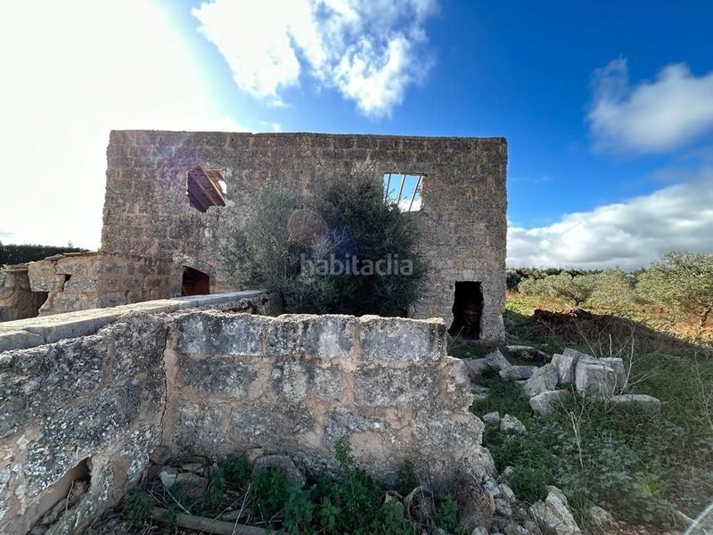 Foto 234f6901-1774-4851-b66e-21ef9a59e82b. Finca rústica  edificable en Sa Pobla