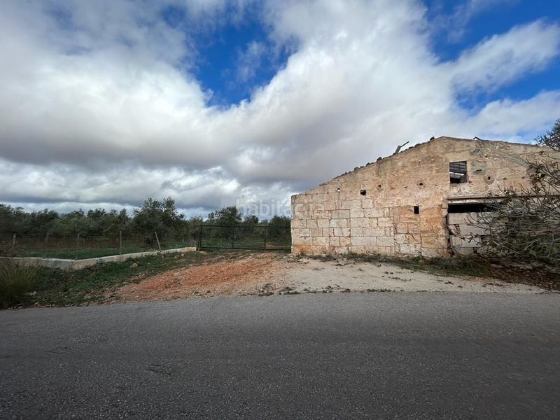 Foto 58e6d3ca-4f25-4b8d-8f08-7fbd65d19ee6. Finca rústica  edificable en Sa Pobla