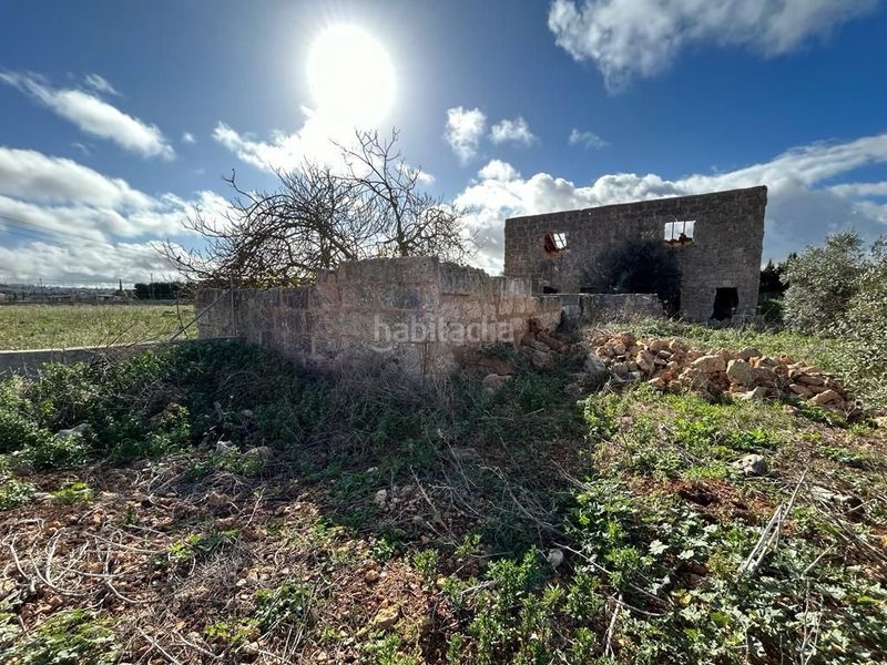 Foto 6505c02d-bad5-4bb5-af98-5fe57d86d048. Finca rústica  edificable en Sa Pobla