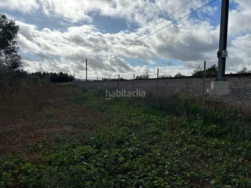 Foto 80afebf1-5587-496b-92ae-17913c01b775. Finca rústica  edificable en Sa Pobla