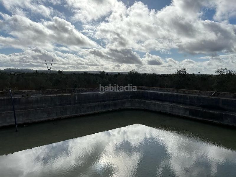 Foto 81b65fbd-38b9-4e8b-adb9-a5f3d8a1a59c. Finca rústica  edificable en Sa Pobla