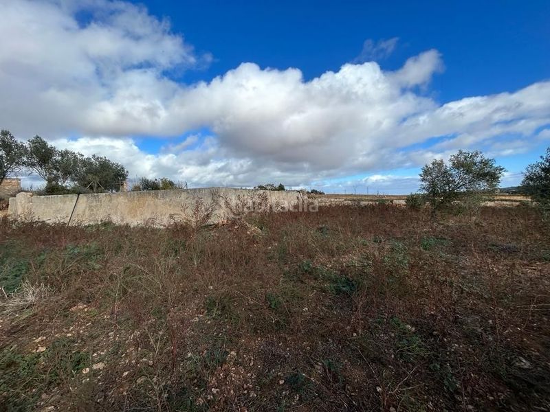 Foto a5d23df0-d4b0-4e20-a8ba-6b5485abf3d7. Finca rústica  edificable en Sa Pobla