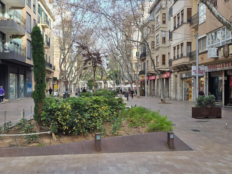 Foto 1df636e8-9a93-42cc-9e30-6f5bd300eed8. Dúplex a Pere Garau Palma de Mallorca