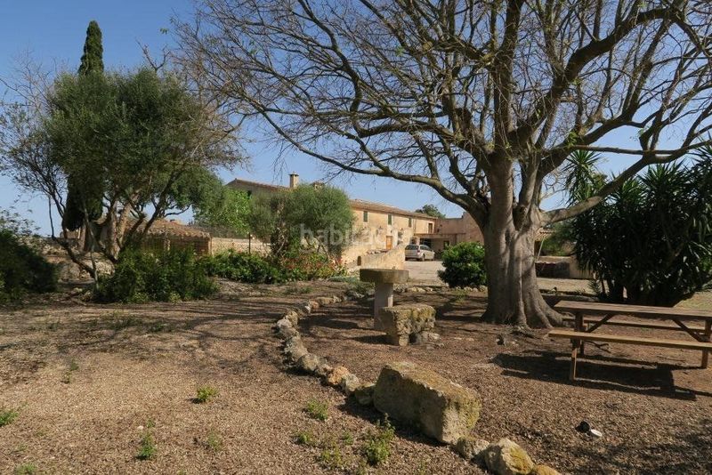 Foto c47eee0e-9be5-47fb-9d47-d7d415437a57. Masia amb calefacció piscina a Ariany