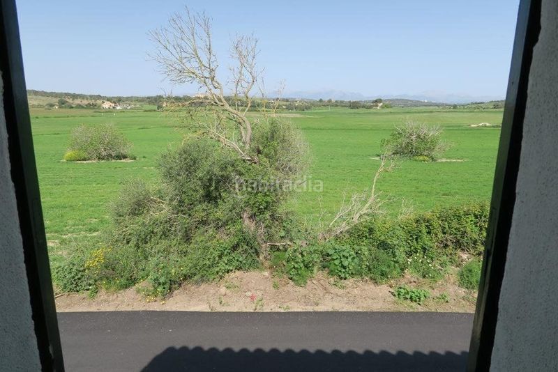 Foto d14a553e-aaf6-40e3-98c2-b3af9ce5b8b6. Masia amb calefacció piscina a Ariany