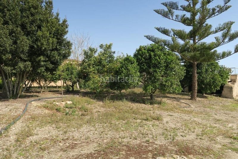 Foto df1610a9-9bc4-49fd-af78-7bc56eaf7522. Masia amb calefacció piscina a Ariany
