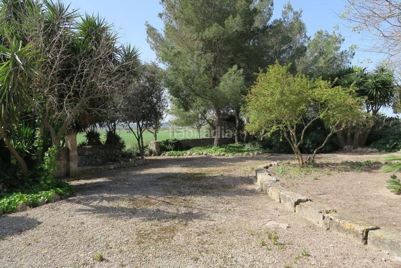 Foto e223038f-63bc-473c-bbd1-65ee68e7e3a7. Masia amb calefacció piscina a Ariany