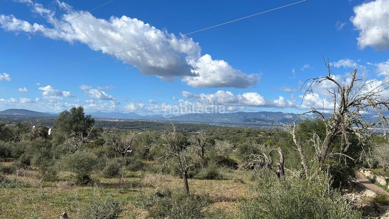 Foto 3f42dee8-c352-47b7-a127-d5bcea4378de. Finca rústica a Costitx