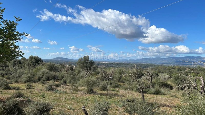 Foto 6afc2c38-3aeb-4a31-8def-836128af4930. Finca rústica a Costitx