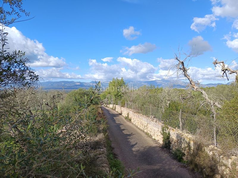 Foto a0bea442-020e-4c27-9a3f-a417ecc9857c. Finca rústica a Costitx