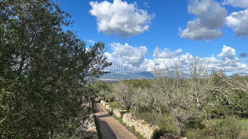 Foto dc8fe161-4090-4d09-ac26-2e1c1c58e5b6. Finca rústica a Costitx