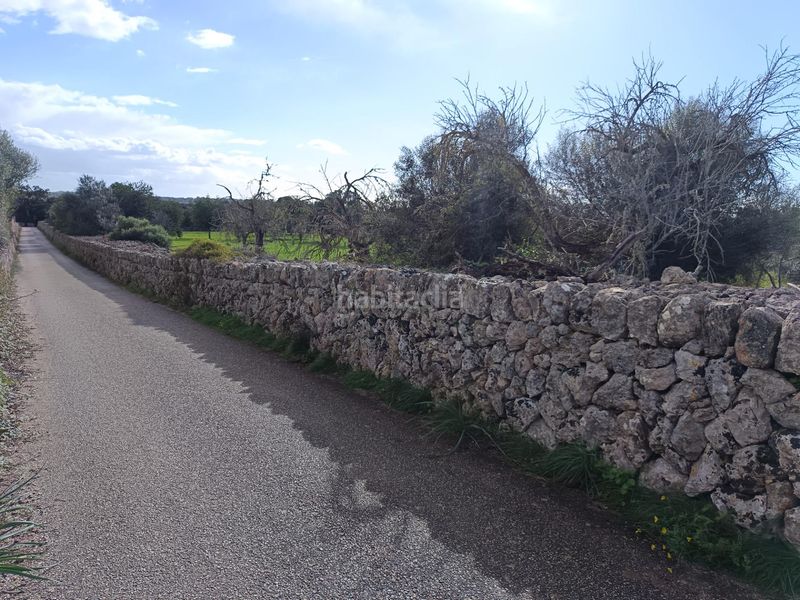 Foto fd75fadc-975b-416a-a08c-69ed2775326e. Finca rústica a Costitx