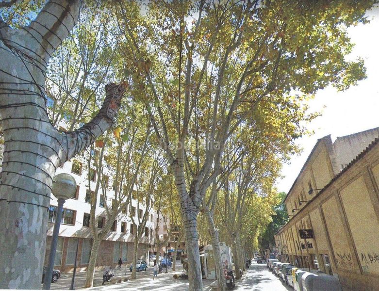 Foto 65d6ca5f-5493-4cd8-9c04-7847db674f24. Edifici a Sant Jaume Palma de Mallorca