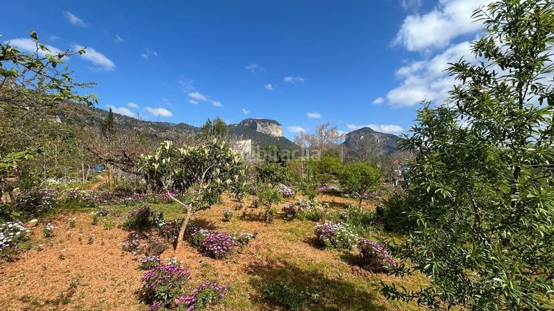 Foto 5edc9886-42e9-41fa-8257-a1ff14a7c4a1. Masia a Alaró