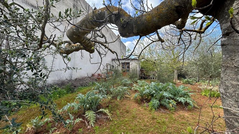 Foto ab624e25-4d93-4fa1-91e1-40e95a13306e. Masia a Alaró