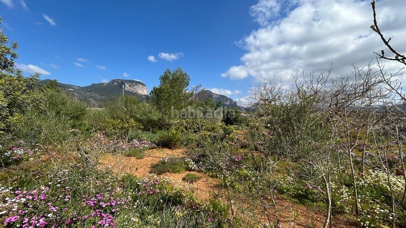 Foto accdad7b-71aa-492a-bb1a-fa8991bba9cc. Masia a Alaró