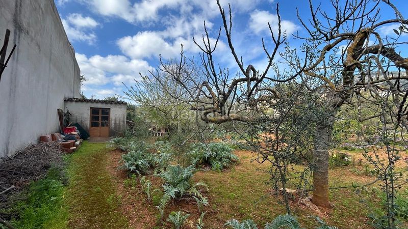 Foto ba70d40b-1a49-418c-9c13-9a1c873c7bd3. Masia a Alaró