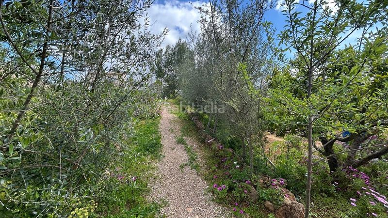 Foto c0147618-6cbc-4677-801d-1553b0bb5b5c. Masia a Alaró