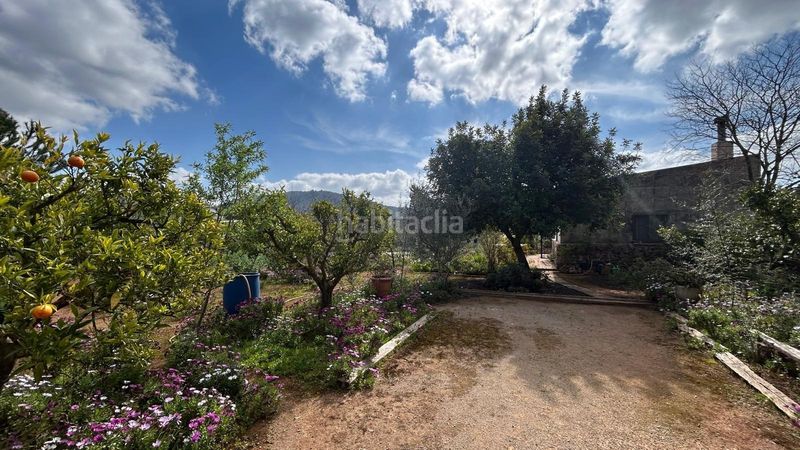 Foto e10530eb-f0e8-4373-bf23-ca53e637c0fe. Masia a Alaró