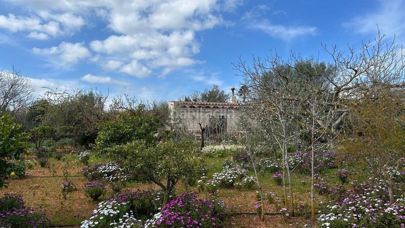 Foto ea29092b-0637-424f-acc7-cedb93a5037b. Masia a Alaró