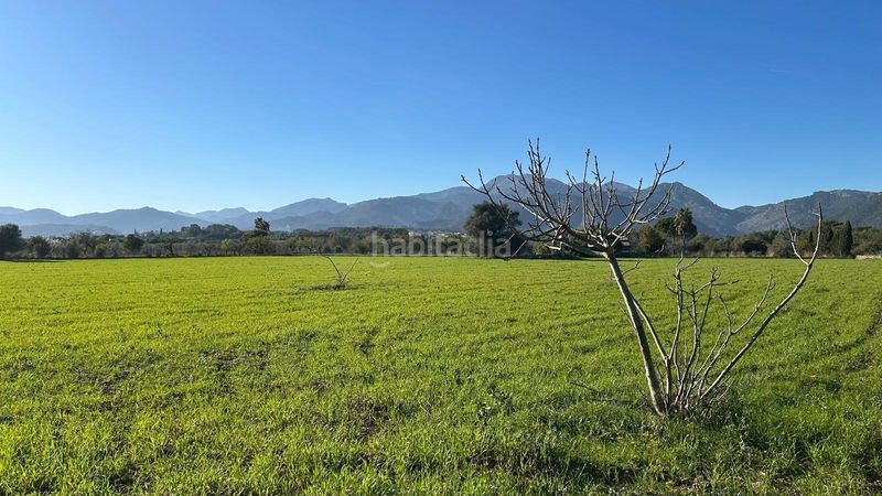 Foto 41a17826-c238-429f-9faa-7e3de88ff1ef. Terreno residencial finca rústica edificable en Selva