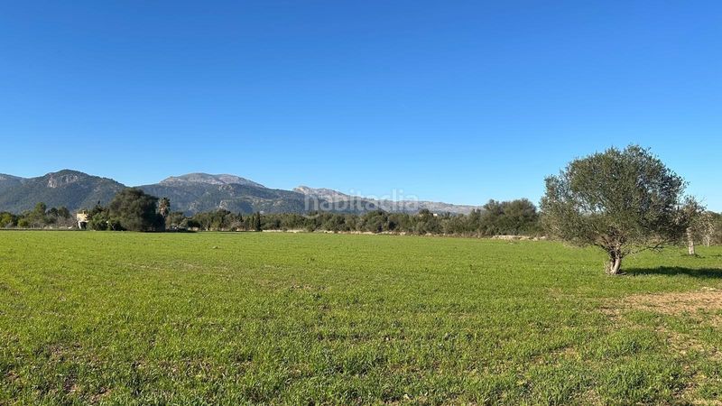 Foto 49b7d7b3-c4fc-4a12-a418-3898394e8a94. Terreno residencial finca rústica edificable en Selva