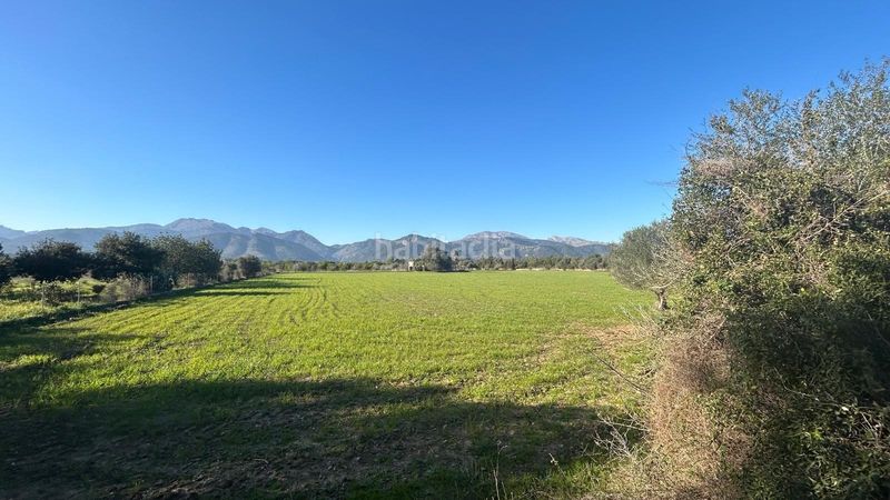 Foto bb7ea4bc-b96b-4b69-a117-fa0f2756a99e. Terreno residencial finca rústica edificable en Selva
