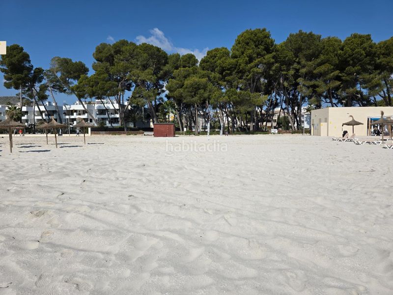 Foto 2b094b78-d8da-4f76-b725-a3a7b76a60d6. Àtic amb aparcament a port d´Alcúdia-platja dálcúdia Alcúdia