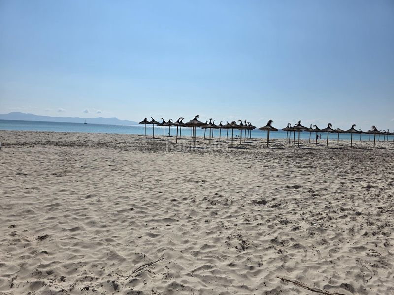 Foto 42da17e0-38c1-4444-bd6a-840b385236c3. Àtic amb aparcament a port d´Alcúdia-platja dálcúdia Alcúdia