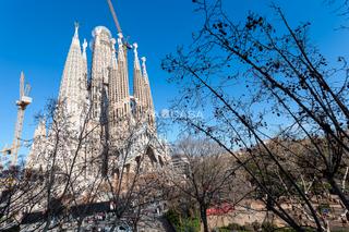 Flat  Plaça sagrada família