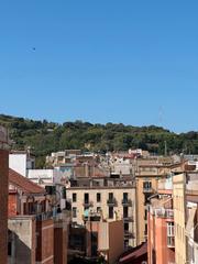 Flat  Avinguda del paral·lel