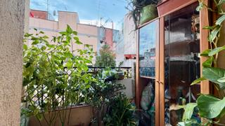 Flat  Carrer la menta