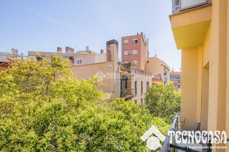 Foto 8022464b-1c46-490f-9d1f-bdfcc4b33a4b. Pis a Sant Andreu de Palomar Barcelona