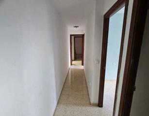 Rez-de-chaussée  Los álamos iii. Piso en urbanización los álamos iii