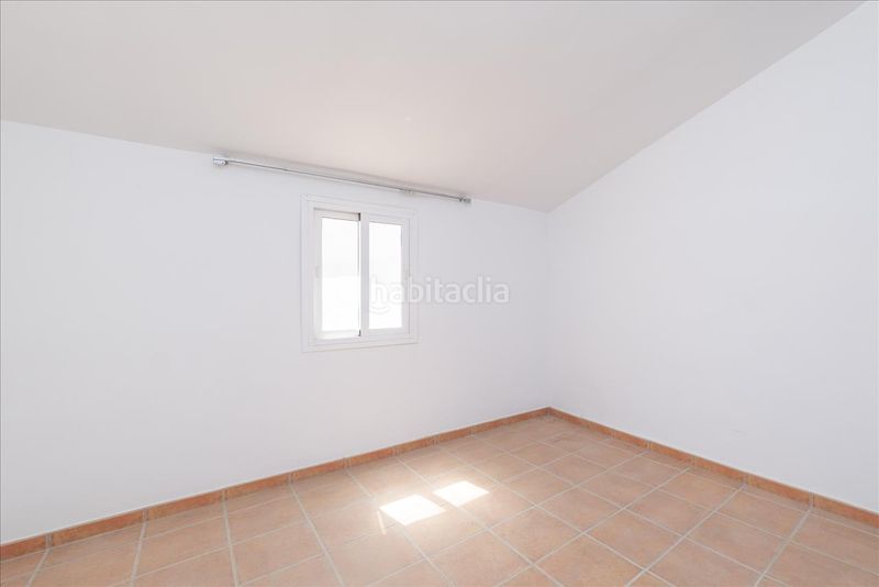 Foto ee6ea98c-a702-4006-ba9b-0e872264a275. Pis a Teba