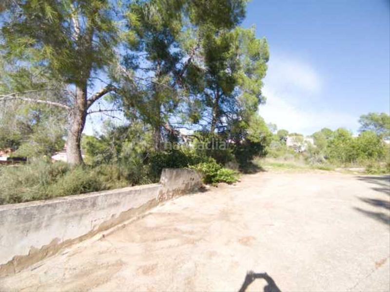 Foto cdcd6c2b-48ac-4c7e-8946-04f5710d6ec2. Xalet amb aparcament a Vilamarxant