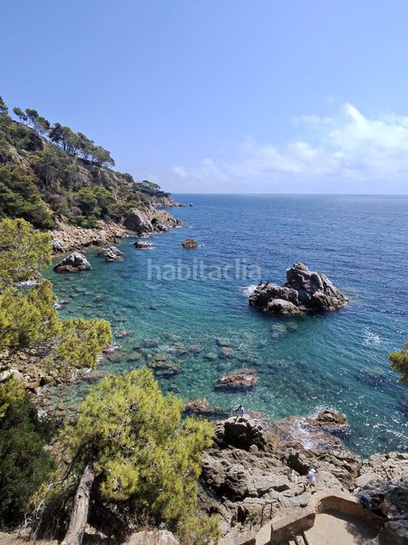 Foto 3ce09ff2-8429-453e-a498-2edac0353c09. Apartament amb calefacció a Centre Lloret de Mar