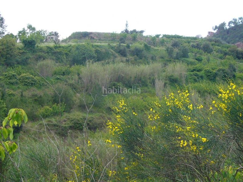 Foto 14f12e5a-e2e3-463e-9bf7-9e18a190bcf3. Terreny residencial a Torrelles de Llobregat