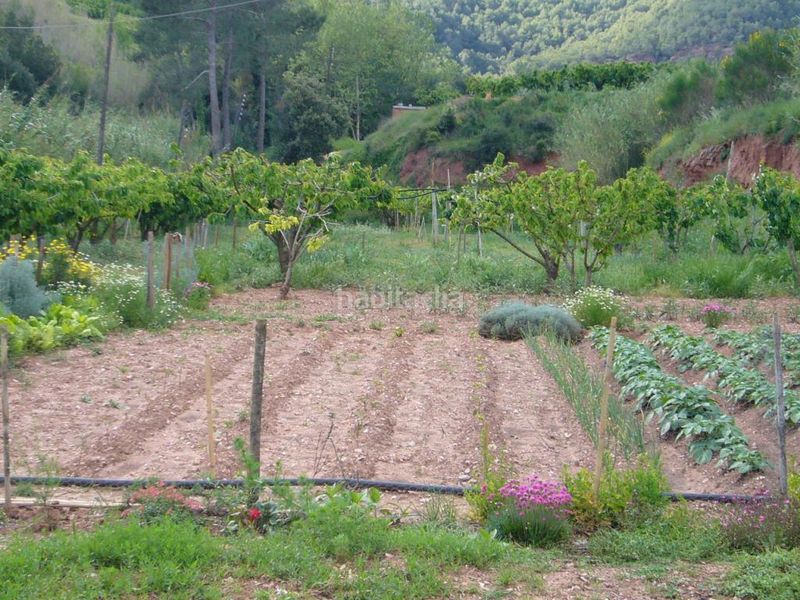 Foto 402e772e-a7d6-4b9a-a90f-62c450b45d6e. Terreny residencial a Torrelles de Llobregat