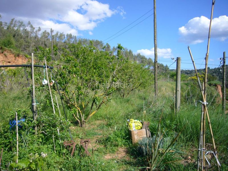 Foto 4b810412-36f9-4c16-a0fc-f50ab740d2bb. Terreny residencial a Torrelles de Llobregat