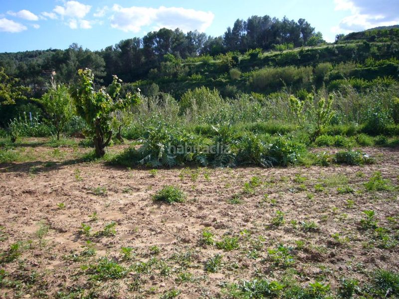 Foto 69701f36-44c9-41bd-a5c1-e6dd53b0f885. Terreny residencial a Torrelles de Llobregat