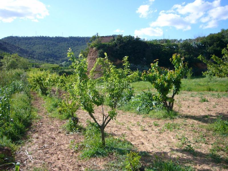 Foto 6f29c561-9cdc-4284-889c-f3e26e5bc49a. Terreny residencial a Torrelles de Llobregat
