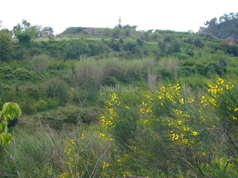Foto 74ccb704-5818-4d60-935a-c686f46da4d6. Terreny residencial a Torrelles de Llobregat